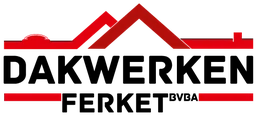 Logo INS