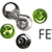 Logo FEVAL