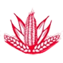 Logo Vanderbauwhede