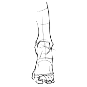 Logo PODOLOGIE AMBER BUFFEL