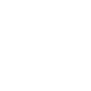Logo DCY