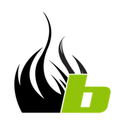 Logo WCTF