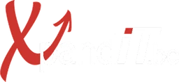 Logo XpandIT