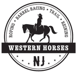 Logo WESTERN HORSES