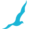 Logo Seagull Communication