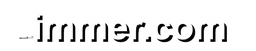 Logo Immer