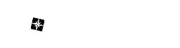 Logo RISDAL BUSS