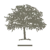 Logo Groenwerken Koen Janssens