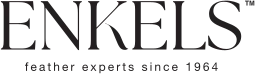 Logo ENKELS