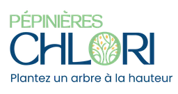Logo VV CHLORI