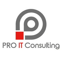 Logo PRO - IT CONSULTING