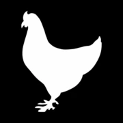 Logo JAN MAES