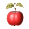 Logo KRAZ