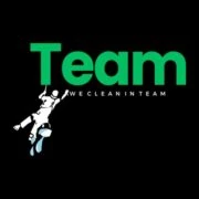 Logo TEAM CLEANING BELGIUM