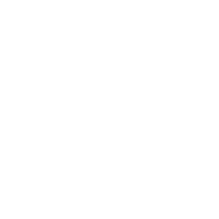 Logo PRAETORIAN ENGINEERING