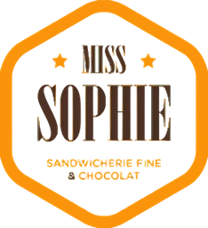 Logo MS 505