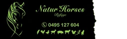 Logo Natur'Horses