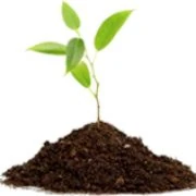 Logo ECOFER