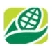 Logo GREEN CREATION