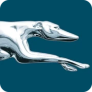 Logo Greyhound