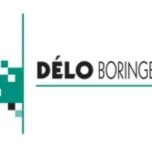 Logo DELO BORINGEN