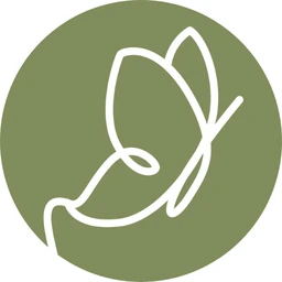 Logo RENAISSENSES