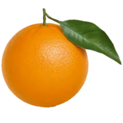 Logo Naranjo