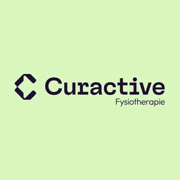 Logo PRAKTIJK VOOR FYSIOTHERAPIE MARIO DIRIX