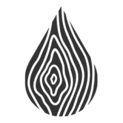 Logo Woody Belgium