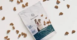 Logo BraveBites