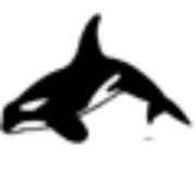 Logo BAVACO