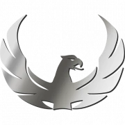 Logo Feniks Design