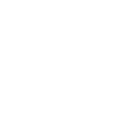 Logo Iberion