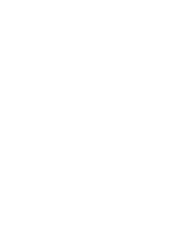 Logo The Lake