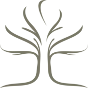 Logo DRIESEN