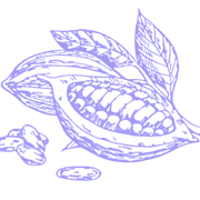 Logo EDENROSE