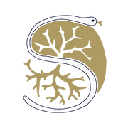 Logo Salutem Academy