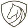 Logo The Groom