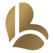 Logo XCALIBUR CONSULT