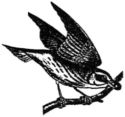 Logo koperwiek