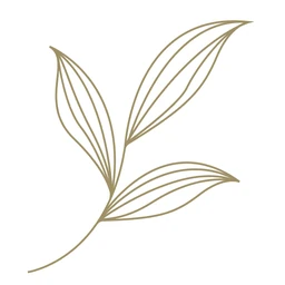 Logo MOHO LAB