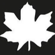 Logo ARVI
