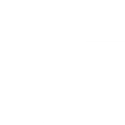 Logo DETA DS