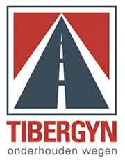 Logo TIBERGYN
