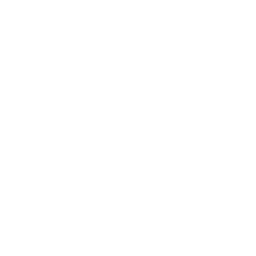 Logo Dansende Beren
