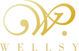 Logo WELLSY