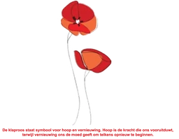 Logo Praktijk In-Sight