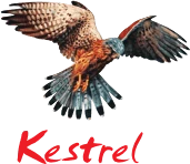 Logo Kestrel
