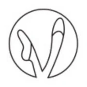 Logo COMPANY V