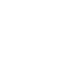 Logo TWIN V